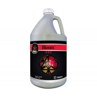 1-Gal---Bloom