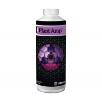 1-Qt---Plant-Amp